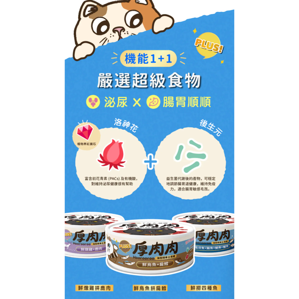 Hoorooroo 厚肉肉 海陸精華主食貓罐 80g 海陸罐 二代 厚肉肉 滴雞精-細節圖3