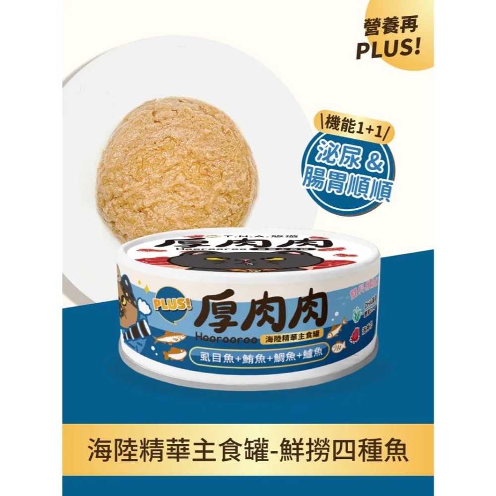 鮮撈四種魚