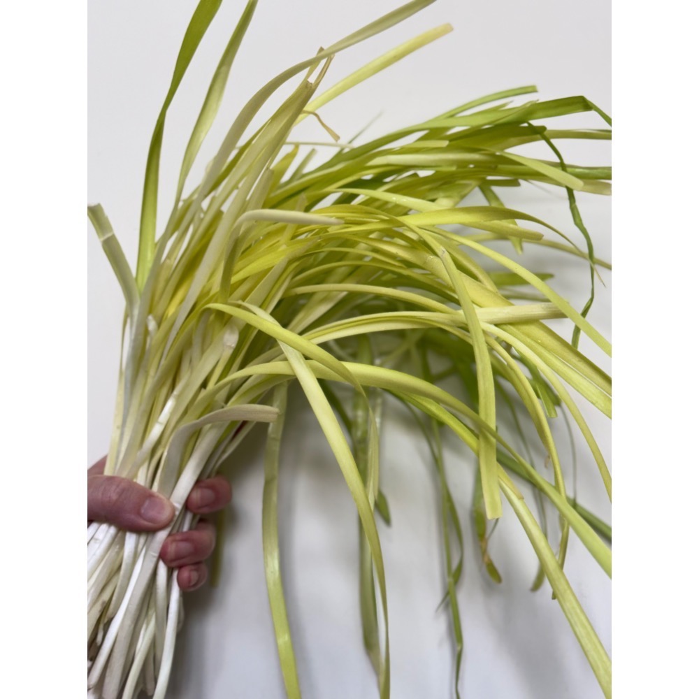 【御坊北方手工水餃】✔高麗菜鮮肉✔韭菜鮮肉✔芹菜鮮肉✔香菜蘿蔔鮮肉✔剝皮辣椒鮮肉❰ 50顆/包 約1250±克❱-規格圖11