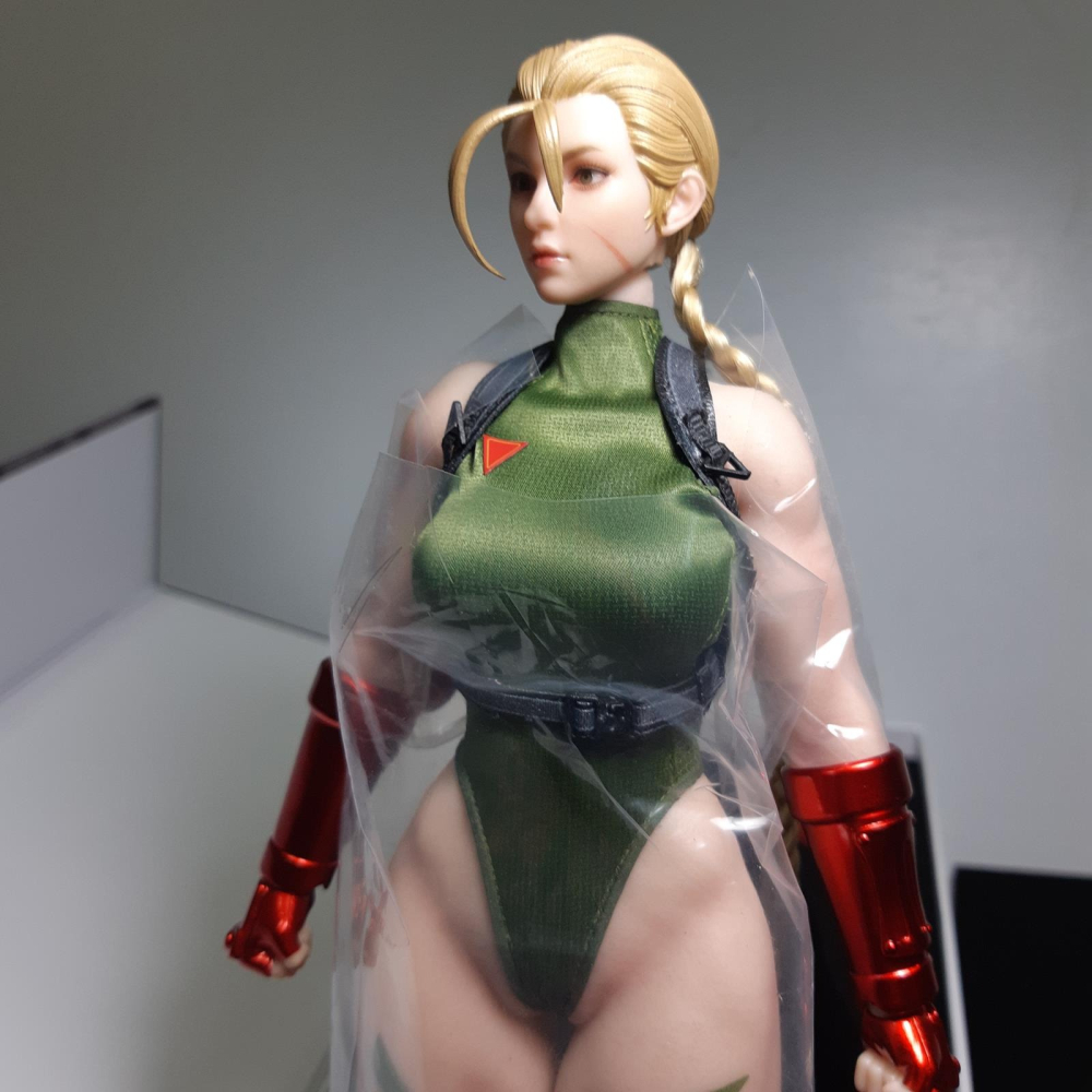 拆檢 PLAY TOY 格鬥女戰士 快打旋風 倩咪 P020-A 綠色 1/6 12吋 包膠可動人偶-細節圖6