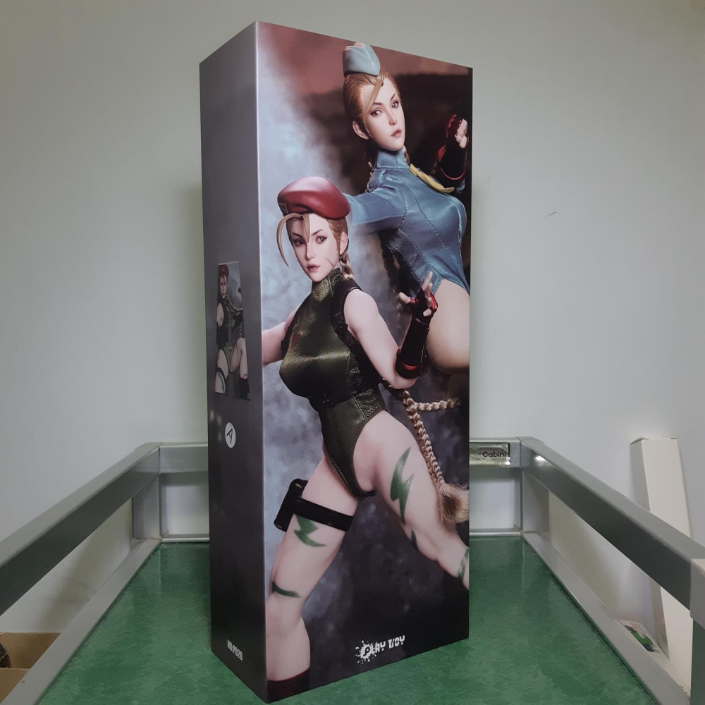 拆檢 PLAY TOY 格鬥女戰士 快打旋風 倩咪 P020-A 綠色 1/6 12吋 包膠可動人偶-細節圖7