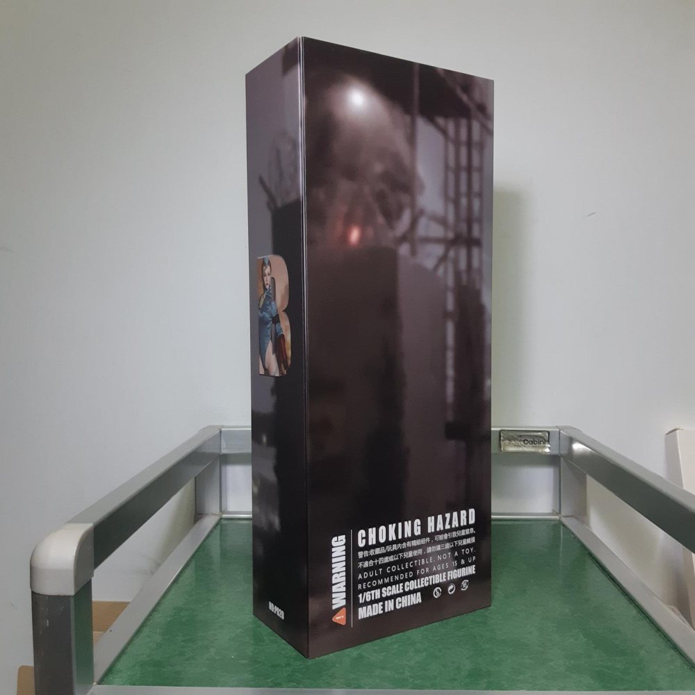 拆檢 PLAY TOY 格鬥女戰士 快打旋風 倩咪 P020-A 綠色 1/6 12吋 包膠可動人偶-細節圖8