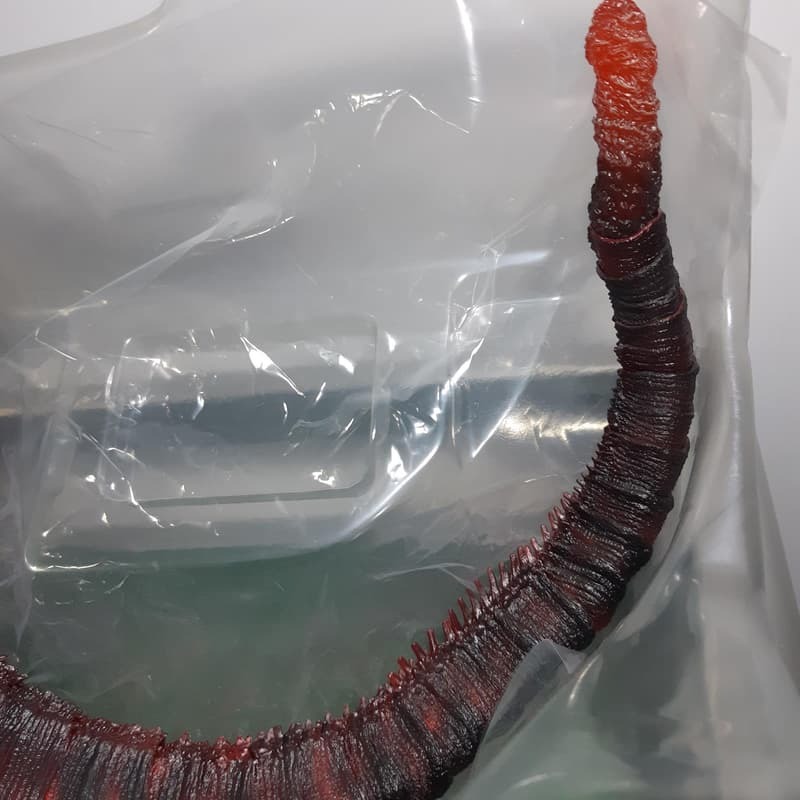 代理版 已拆 SHM 正宗哥吉拉 第四形態 夜間戰鬥 Ver. 夜戰版 真哥吉拉 夜戰-細節圖6