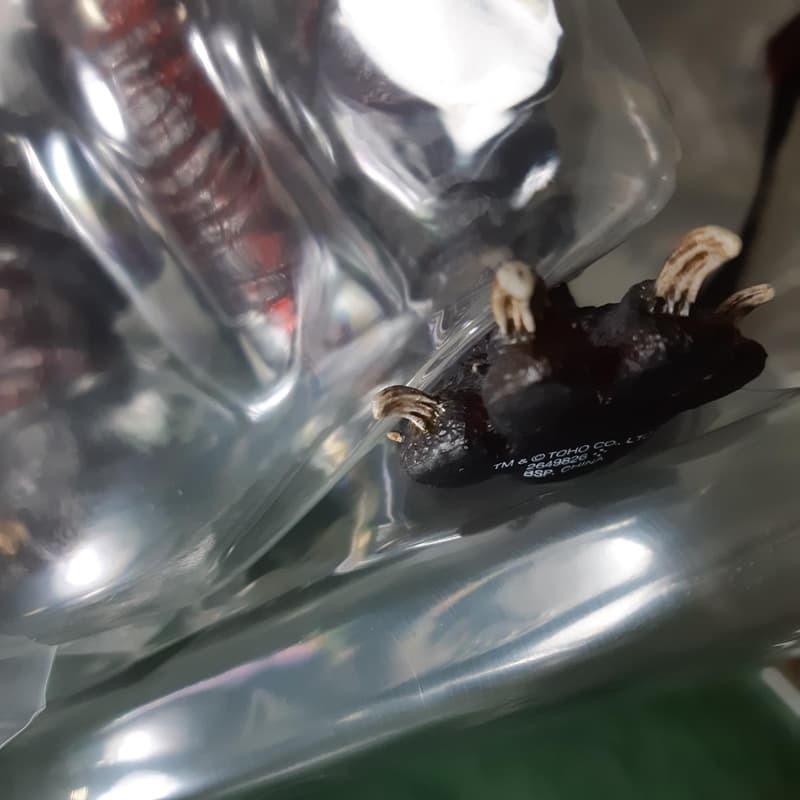 代理版 已拆 SHM 正宗哥吉拉 第四形態 夜間戰鬥 Ver. 夜戰版 真哥吉拉 夜戰-細節圖7