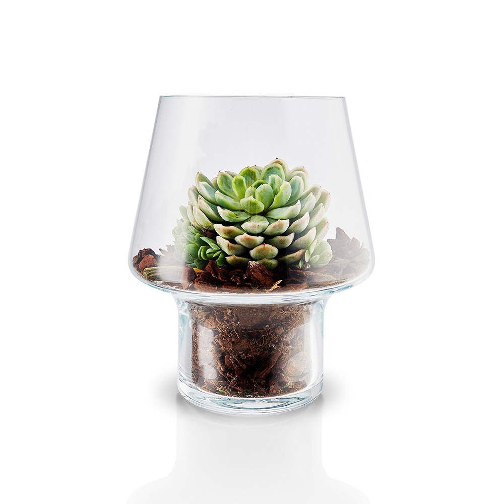 丹麥Eva Solo│玻璃花瓶15cm-細節圖4