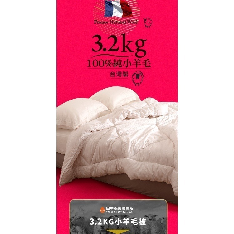 可超取 3.2kg 100%純羊毛被 400織精梳純棉表布 不竄毛 新款-細節圖3