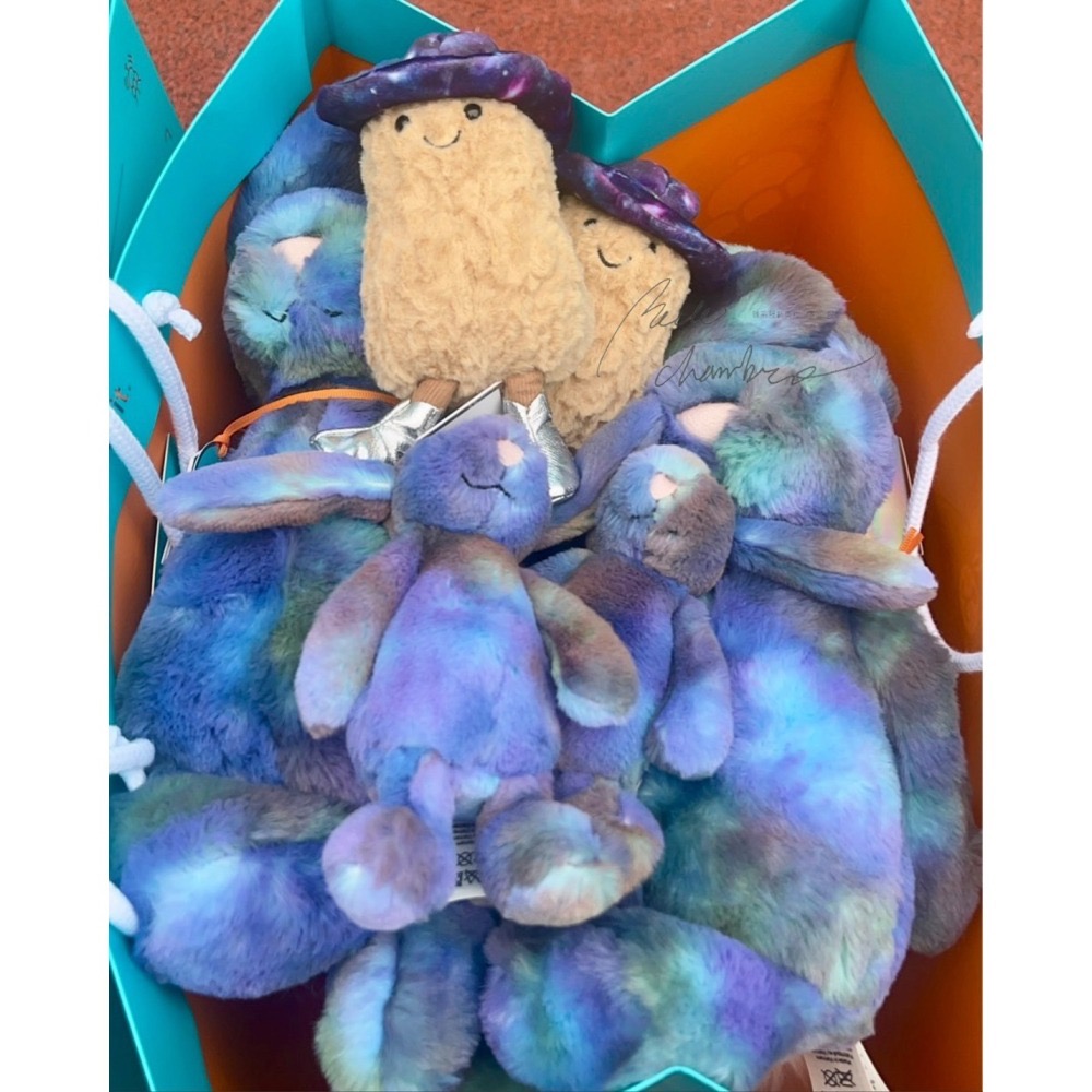台中現貨⚡️Jellycat 太空系列 🇰🇷韓國限定快閃店 果凍貓  Space 太空兔 吊飾 花生 bunny-細節圖3