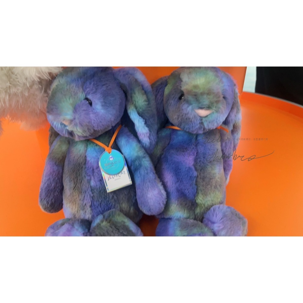 台中現貨⚡️Jellycat 太空系列 🇰🇷韓國限定快閃店 果凍貓  Space 太空兔 吊飾 花生 bunny-細節圖4