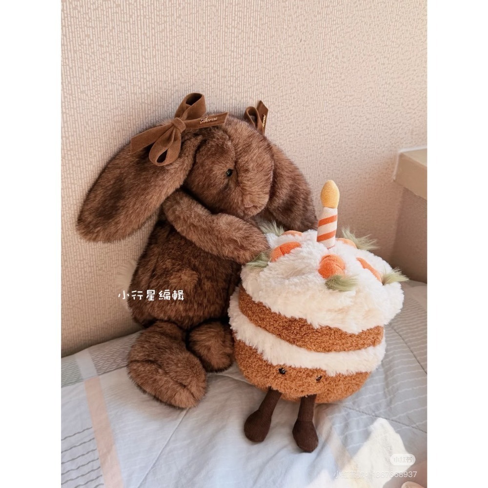 台中現貨 Jellycat 🫜金標致臻害羞霍普萊斯敦邦尼兔M 咖啡兔 Hoppleston Luxe Bunny-細節圖3