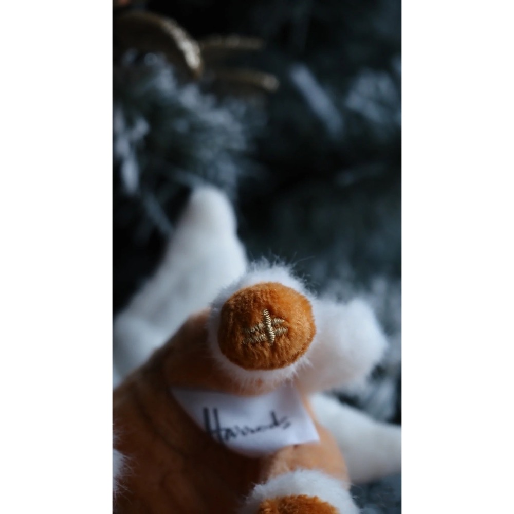 台中現貨⚡️英國🇬🇧正品 Harrods 小飛馬 馬年 飛天小馬 幸運小馬 鑰匙扣 吊飾 聖誕限定 飛馬-細節圖3