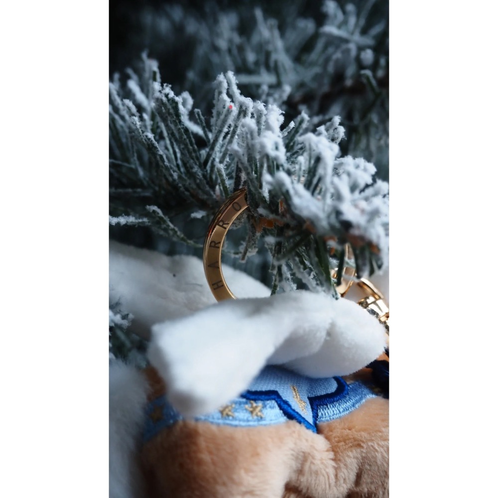 台中現貨⚡️英國🇬🇧正品 Harrods 小飛馬 馬年 飛天小馬 幸運小馬 鑰匙扣 吊飾 聖誕限定 飛馬-細節圖4