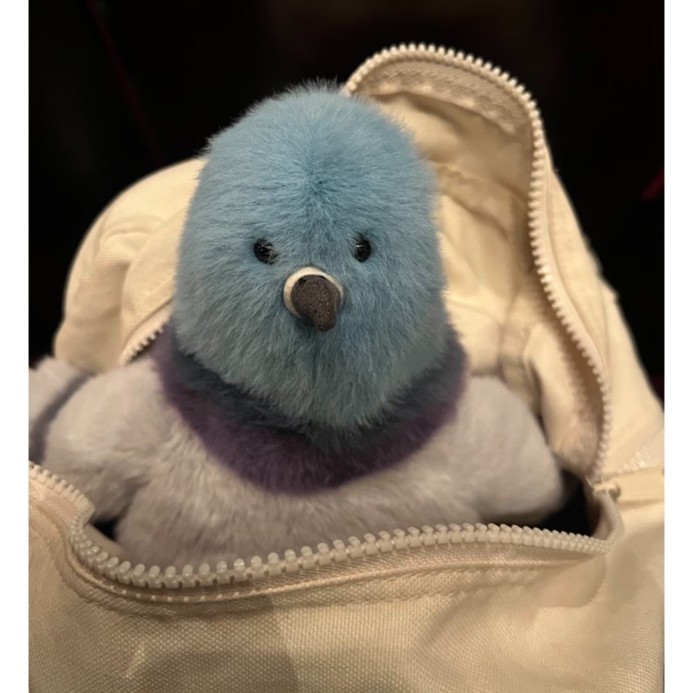 台中正品現貨⚡️Jellycat 正品 紐約限定 鴿子娃娃 Strutton Pigeon-細節圖3