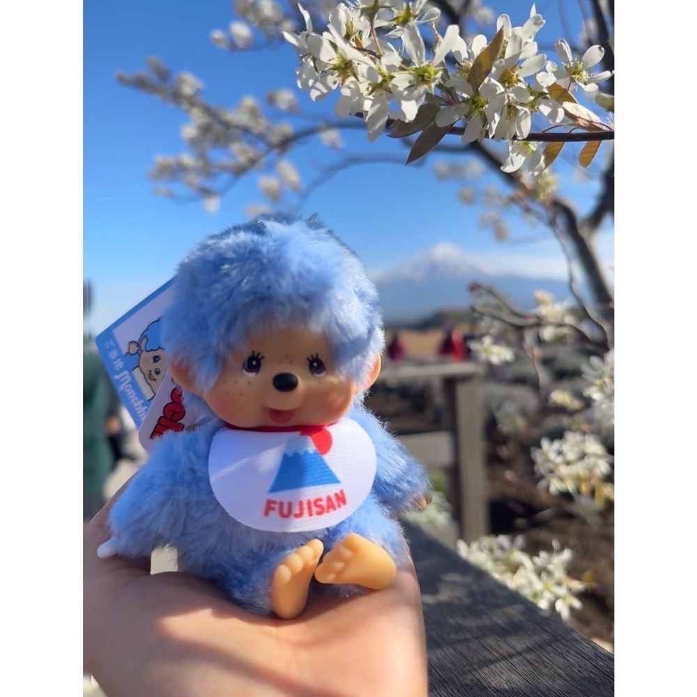 台中正品現貨⚡️日本 富士山限定  monchhichi 蒙奇奇 夢奇奇 娃娃 玩偶 吊飾-細節圖2
