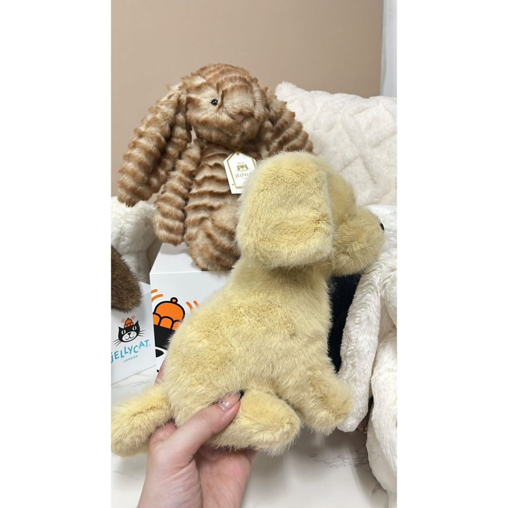 專屬賣場請勿下單⚠️  英標正品 台中現貨 Jellycat Golden Puppy 黃金獵犬 (21cm)-細節圖2