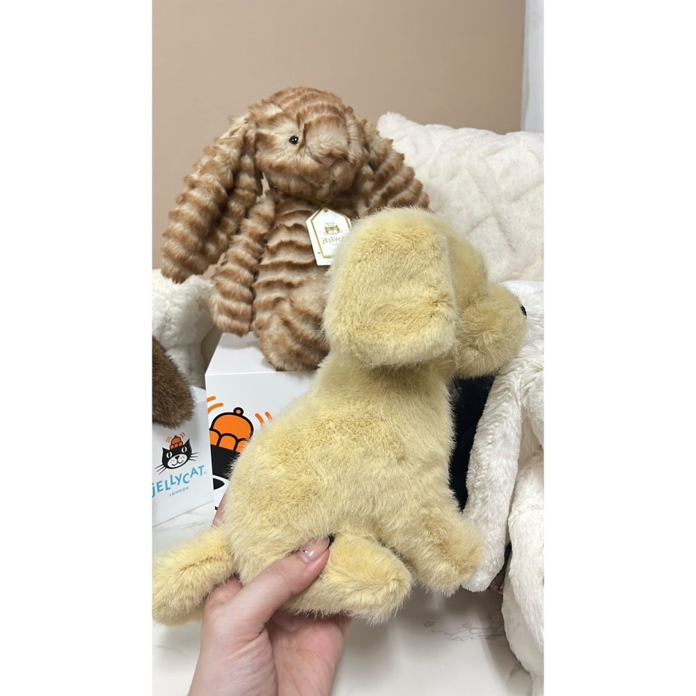 專屬賣場請勿下單⚠️  英標正品 台中現貨 Jellycat Golden Puppy 黃金獵犬 (21cm)-細節圖2