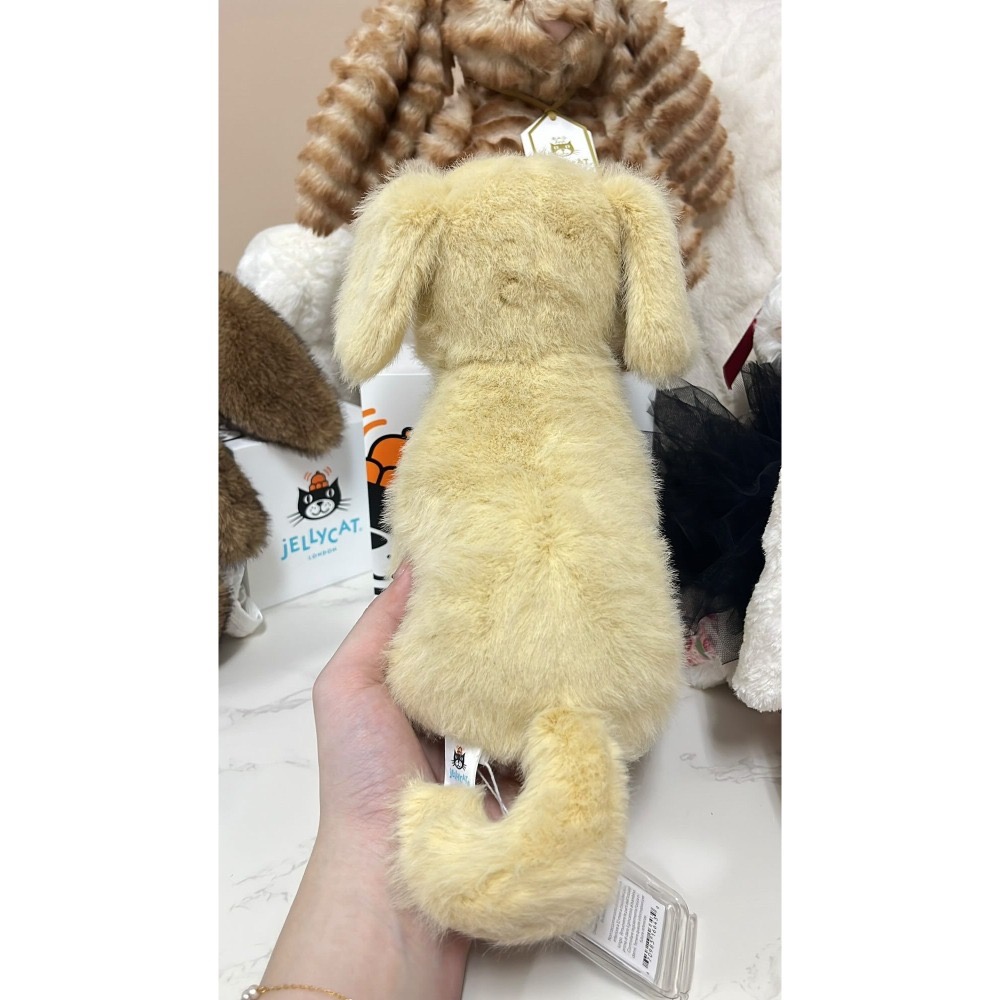 專屬賣場請勿下單⚠️  英標正品 台中現貨 Jellycat Golden Puppy 黃金獵犬 (21cm)-細節圖3