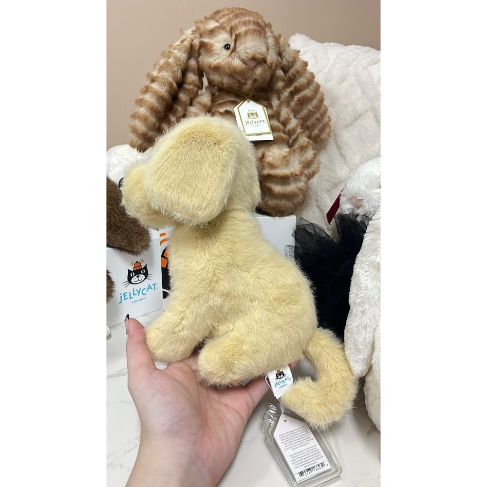 專屬賣場請勿下單⚠️  英標正品 台中現貨 Jellycat Golden Puppy 黃金獵犬 (21cm)-細節圖4