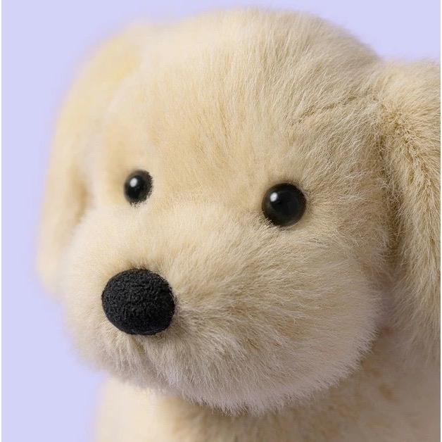 專屬賣場請勿下單⚠️  英標正品 台中現貨 Jellycat Golden Puppy 黃金獵犬 (21cm)-細節圖5