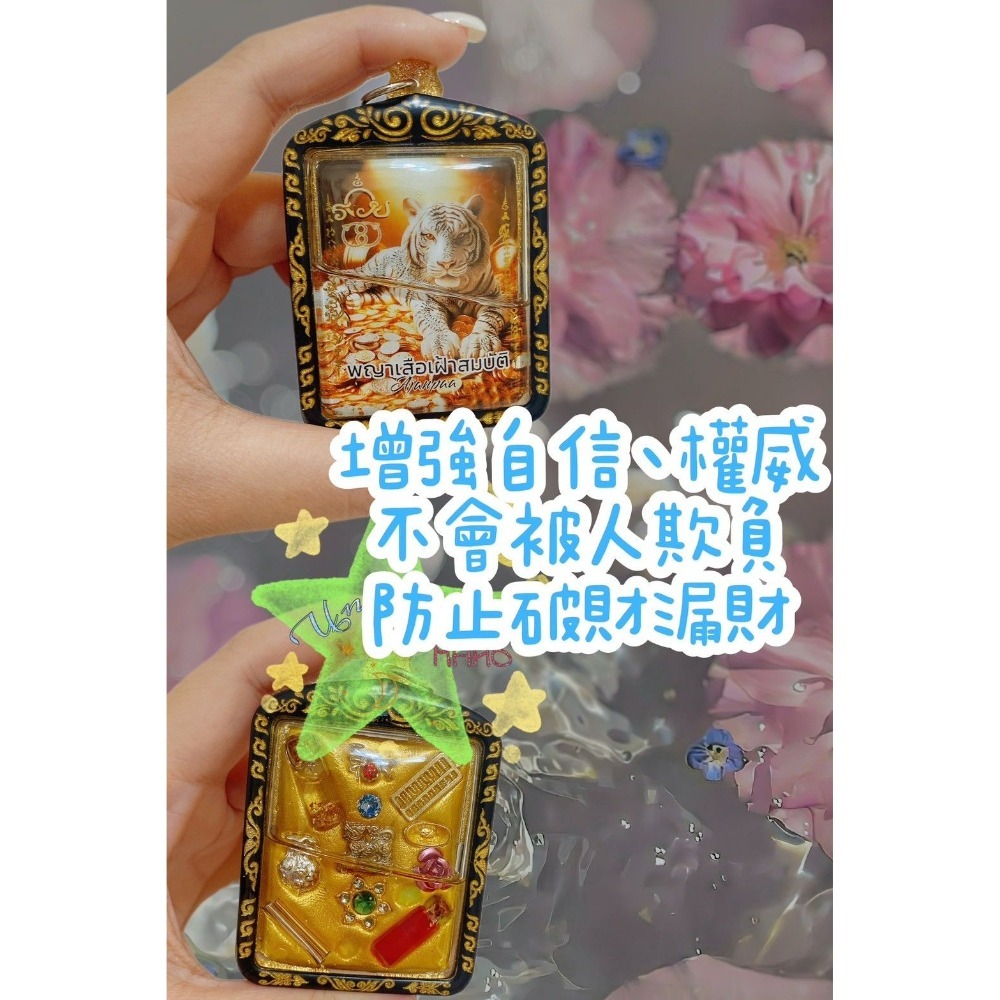 阿贊八🪄虎派霸王佛牌-細節圖3