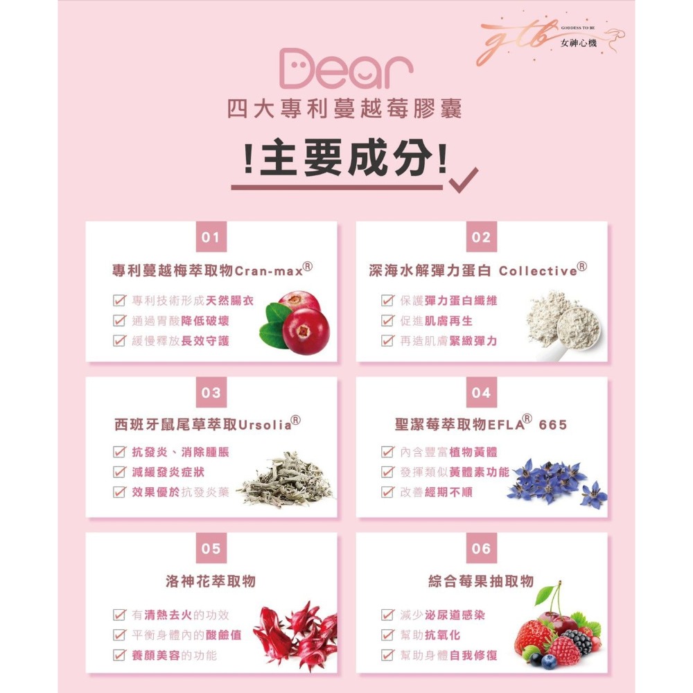 晉捷 Dear 四大專利蔓越莓膠囊-細節圖4