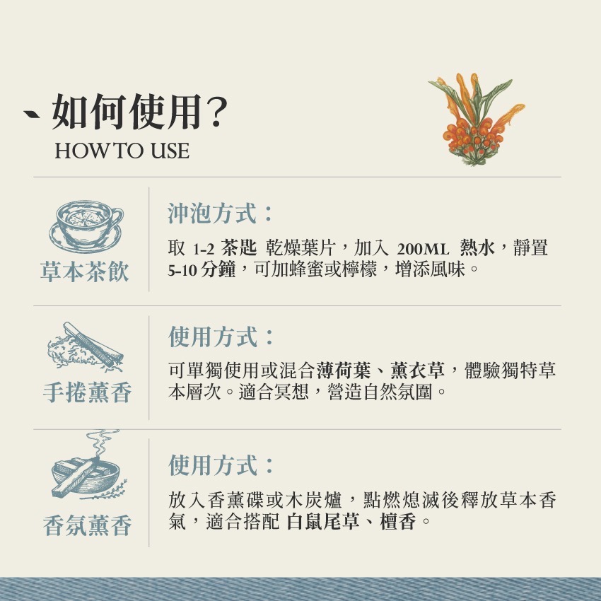 荷蘭製造｜獅尾花｜Wild Dagga Leonotis Leonurus 乾燥 花 草 茶 原料｜本草・草本實驗室-細節圖4