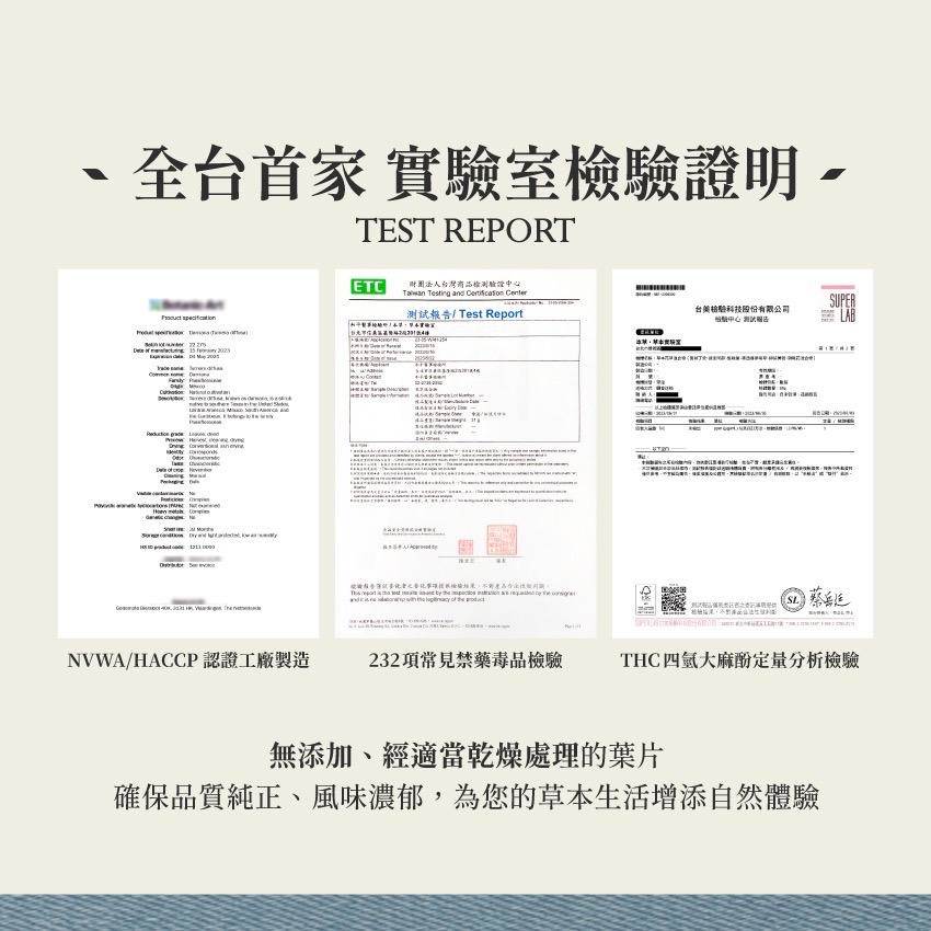 荷蘭製造｜獅尾花｜Wild Dagga Leonotis Leonurus 乾燥 花 草 茶 原料｜本草・草本實驗室-細節圖5