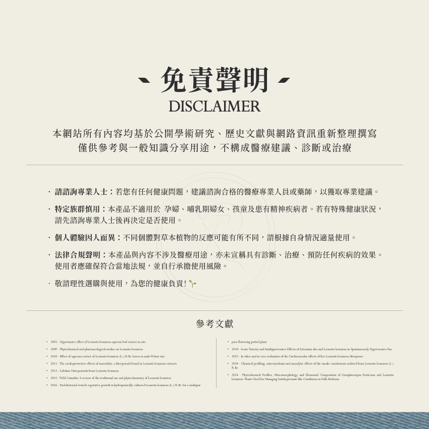 荷蘭製造｜獅尾花｜Wild Dagga Leonotis Leonurus 乾燥 花 草 茶 原料｜本草・草本實驗室-細節圖6