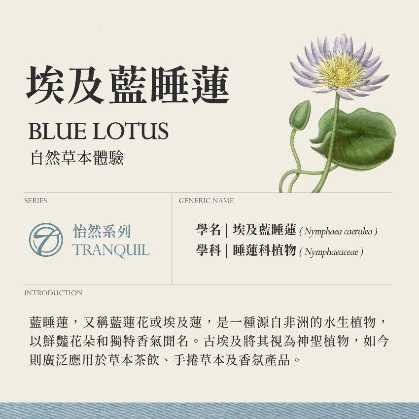 埃及藍睡蓮 10g｜Blue Lotus Nymphaea Caerulea 乾燥 花 草 茶 原料｜飛 行 草 本-細節圖2