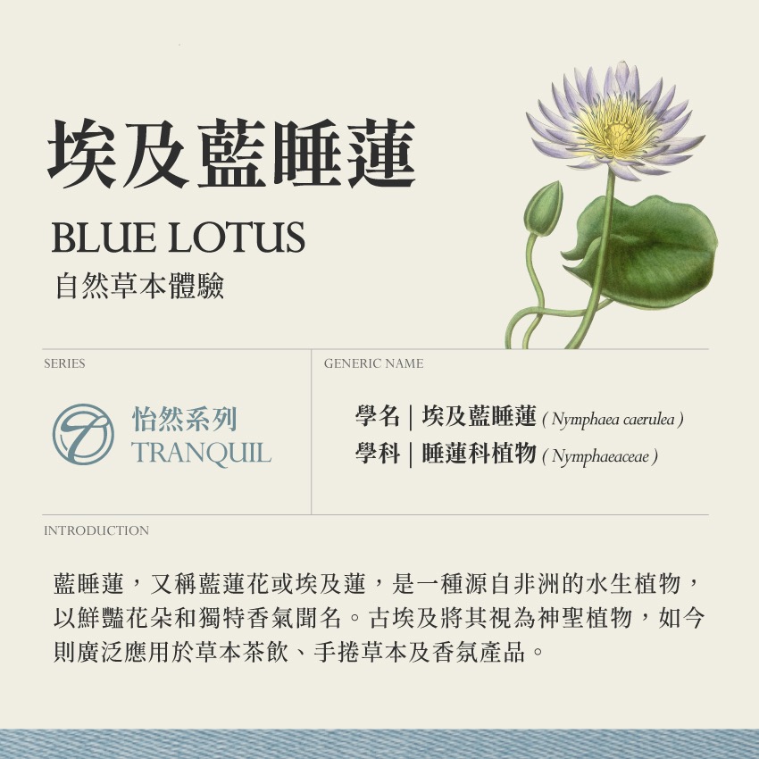 埃及藍睡蓮 10g｜Blue Lotus Nymphaea Caerulea 乾燥 花 草 茶 原料｜飛 行 草 本-細節圖2