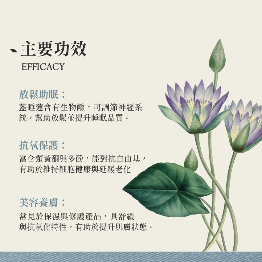 埃及藍睡蓮 10g｜Blue Lotus Nymphaea Caerulea 乾燥 花 草 茶 原料｜飛 行 草 本-細節圖3