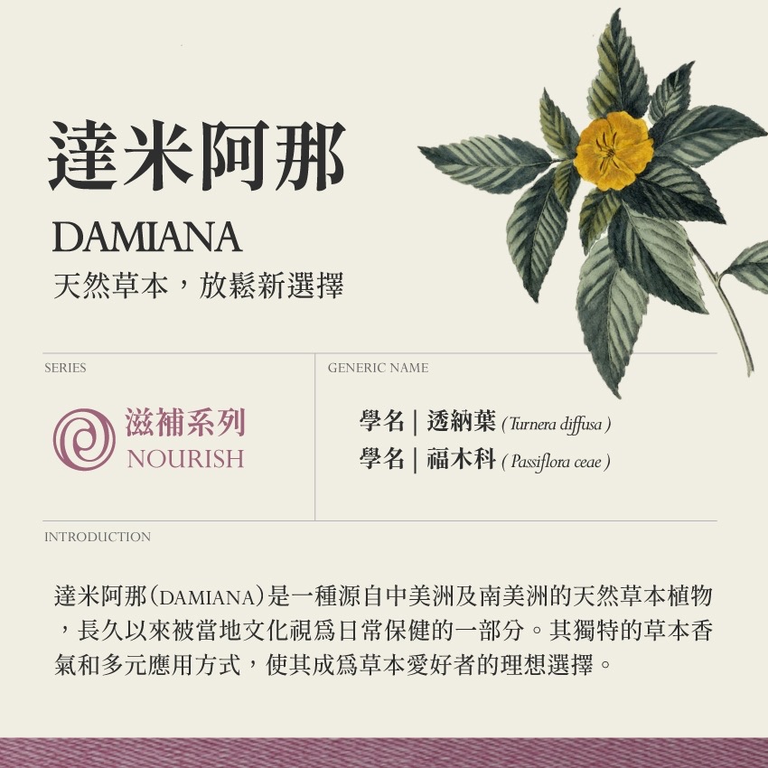 達米阿那 10g｜Damiana Turnera Diffusa 乾燥 花 草 茶 原料｜本草・草本實驗室-細節圖2
