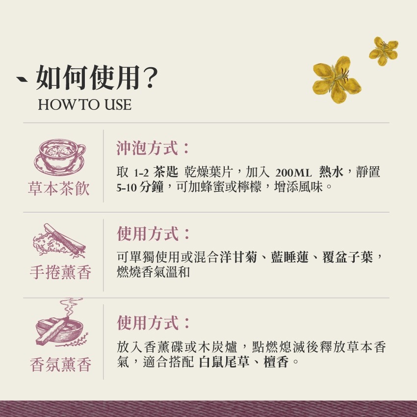 達米阿那 10g｜Damiana Turnera Diffusa 乾燥 花 草 茶 原料｜本草・草本實驗室-細節圖4