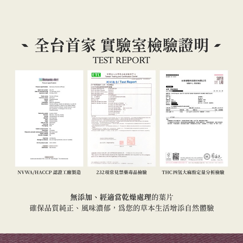 達米阿那 10g｜Damiana Turnera Diffusa 乾燥 花 草 茶 原料｜本草・草本實驗室-細節圖5