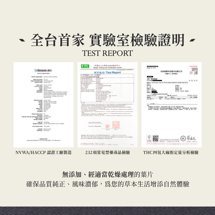 柳葉黃薇 5g｜Sinicuichi Heimia Salicifolia 乾燥 花 草 茶 原料｜本草・草本實驗室-細節圖5