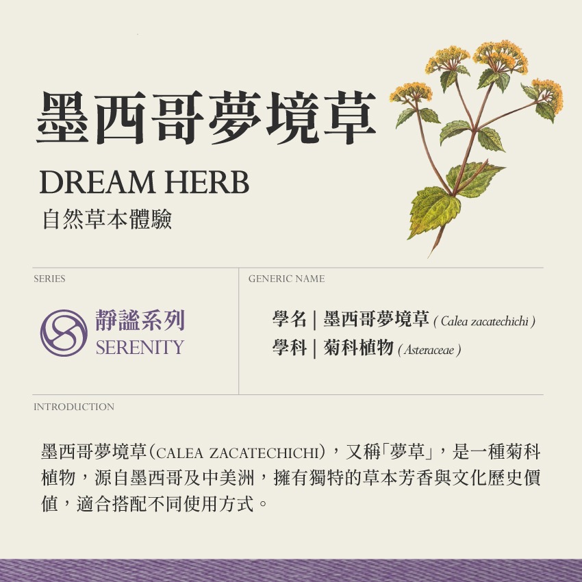 墨西哥 夢境草｜1g｜Dream Herb Calea Zacatechichi｜本草・草本實驗室｜飛 行 草 本-細節圖2