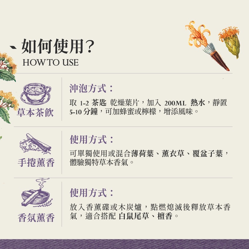 墨西哥 夢境草｜1g｜Dream Herb Calea Zacatechichi｜本草・草本實驗室｜飛 行 草 本-細節圖4