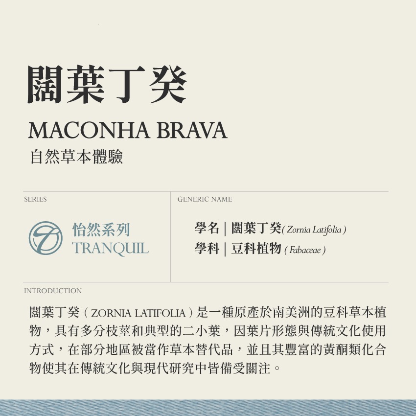 闊葉丁癸 5g｜Maconha Brava Zornia Latifolia 乾燥 花 草 茶 原料｜飛 行 草 本-細節圖2