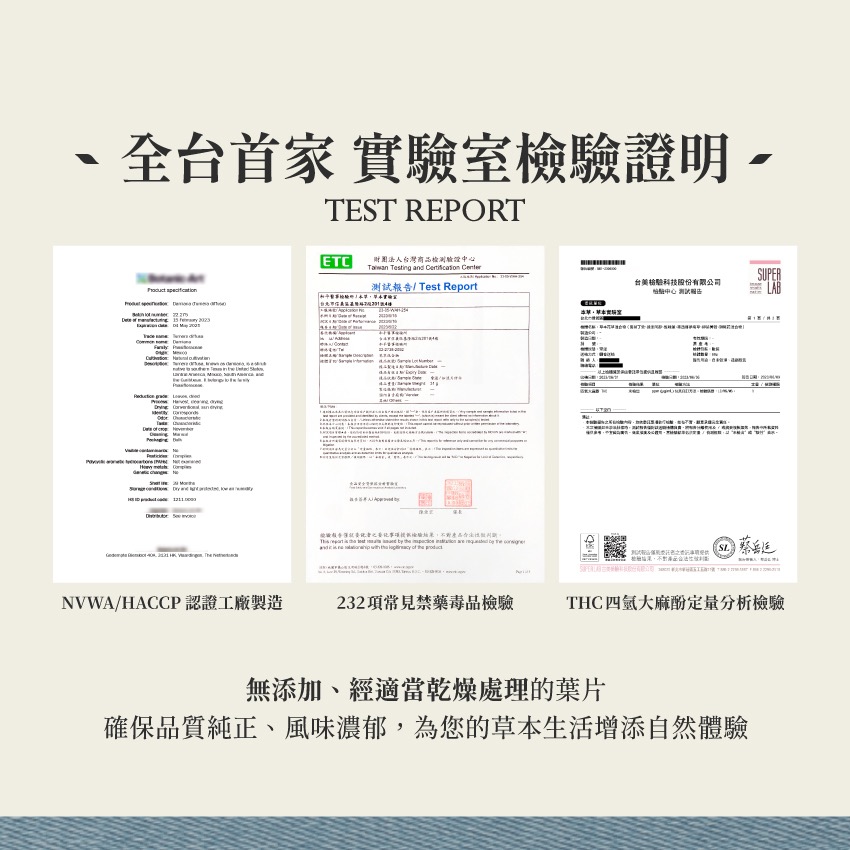 闊葉丁癸 5g｜Maconha Brava Zornia Latifolia 乾燥 花 草 茶 原料｜飛 行 草 本-細節圖5