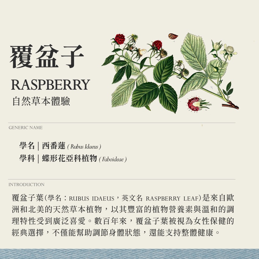 怡然複方 霧 深夜寧靜 10g｜乾燥 花 草 茶 原料｜本草・草本實驗室｜飛行草本-細節圖2