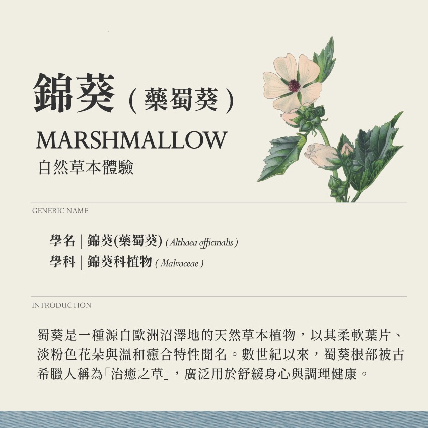 怡然複方 霧 深夜寧靜 10g｜乾燥 花 草 茶 原料｜本草・草本實驗室｜飛行草本-細節圖3