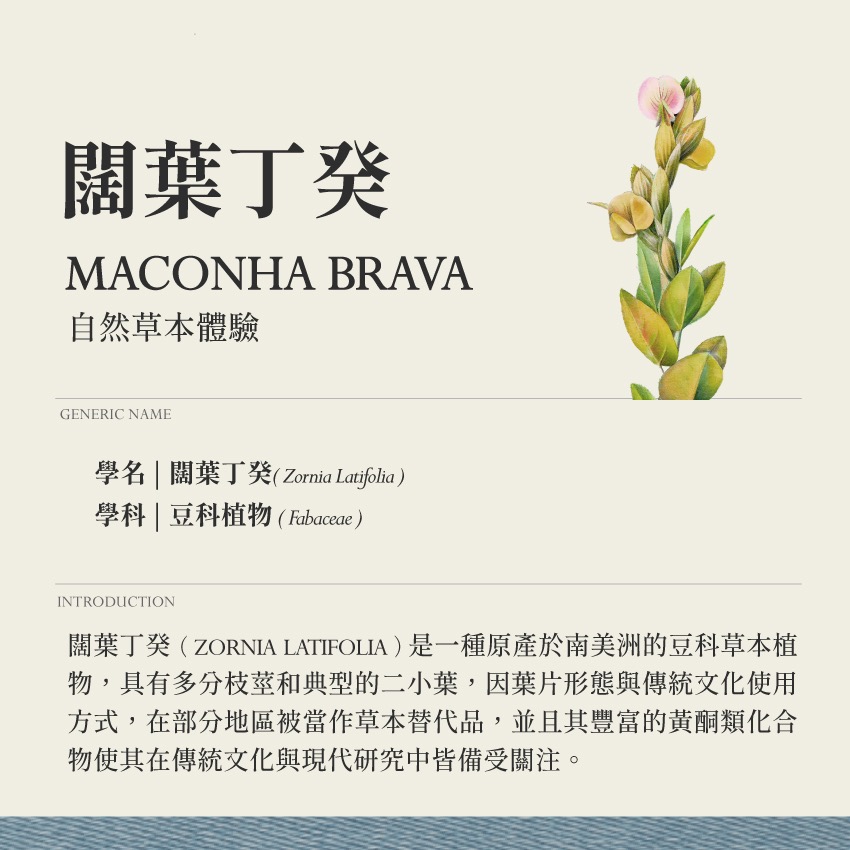 怡然複方 霧 深夜寧靜 10g｜乾燥 花 草 茶 原料｜本草・草本實驗室｜飛行草本-細節圖5