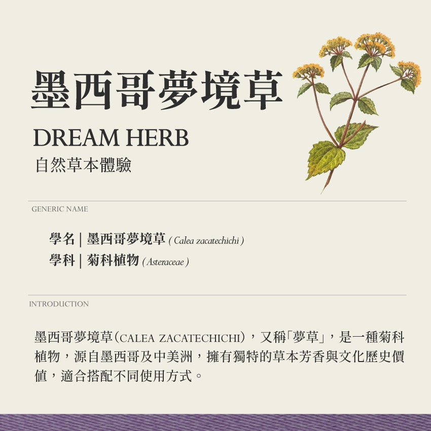 靜謐複方 霧 夢境呢喃 10g｜乾燥 花 草 茶 原料｜本草・草本實驗室｜飛行草本-細節圖2