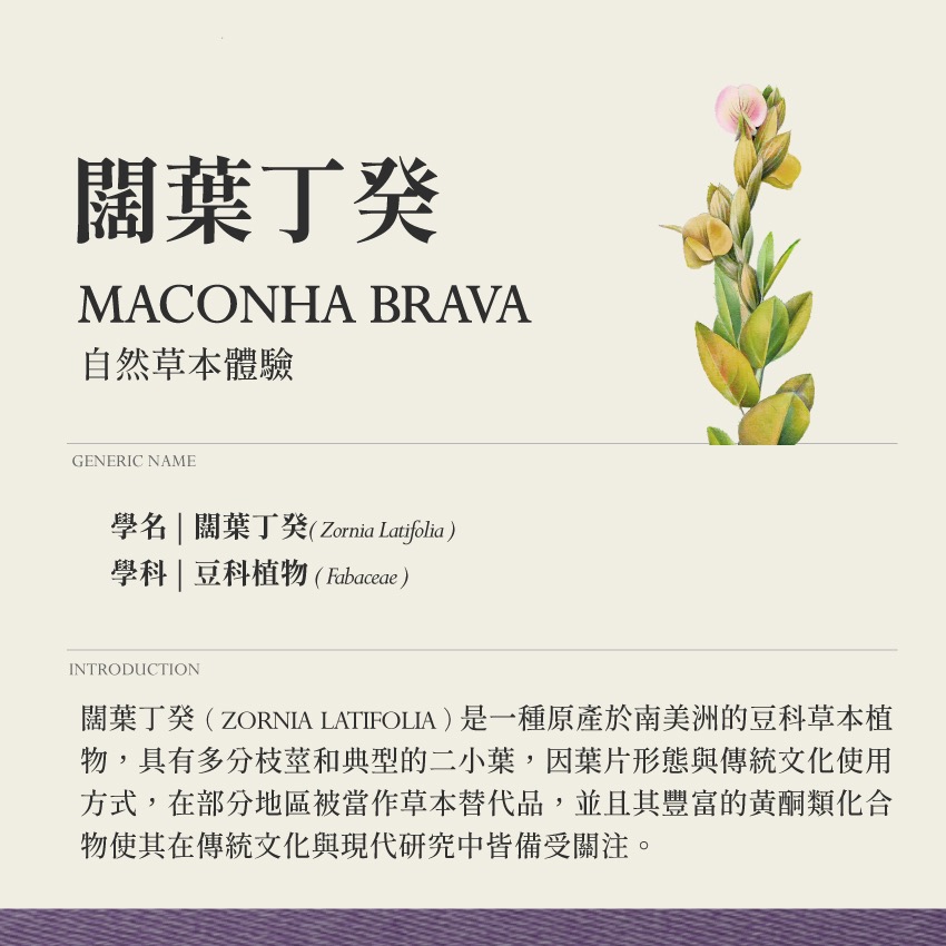 靜謐複方 霧 夢境呢喃 10g｜乾燥 花 草 茶 原料｜本草・草本實驗室｜飛行草本-細節圖3