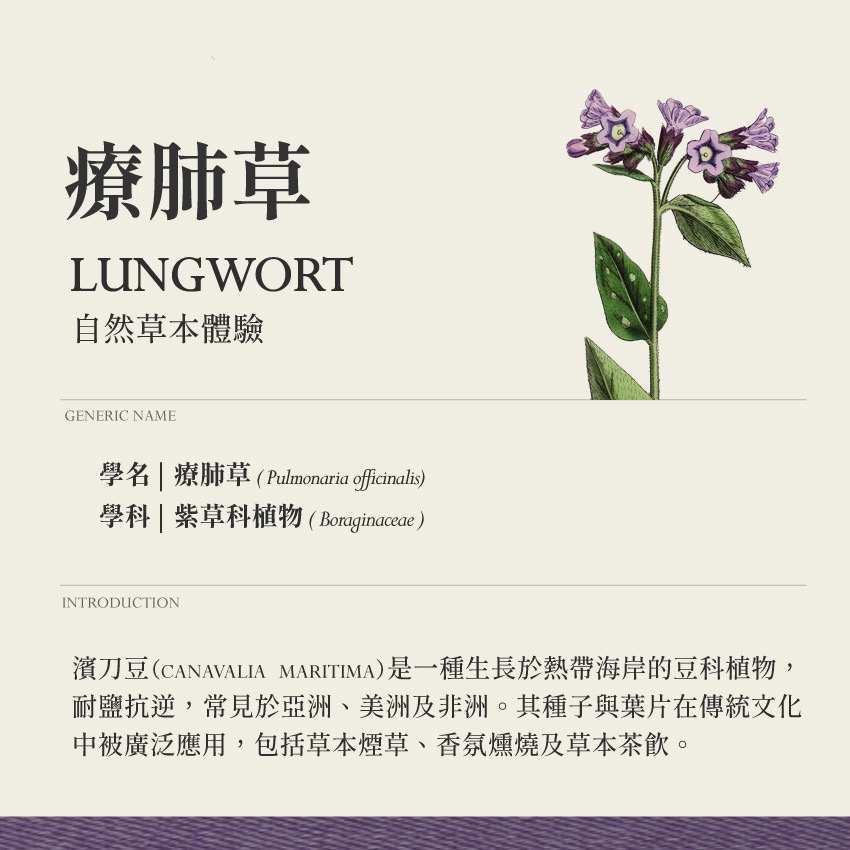 靜謐複方 霧 夢境呢喃 10g｜乾燥 花 草 茶 原料｜本草・草本實驗室｜飛行草本-細節圖4