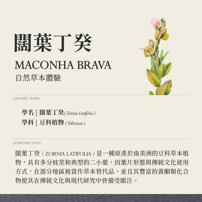 啟心複方 霧 心靈之旅 10g｜乾燥 花 草 茶 原料｜本草・草本實驗室｜飛行草本-細節圖2