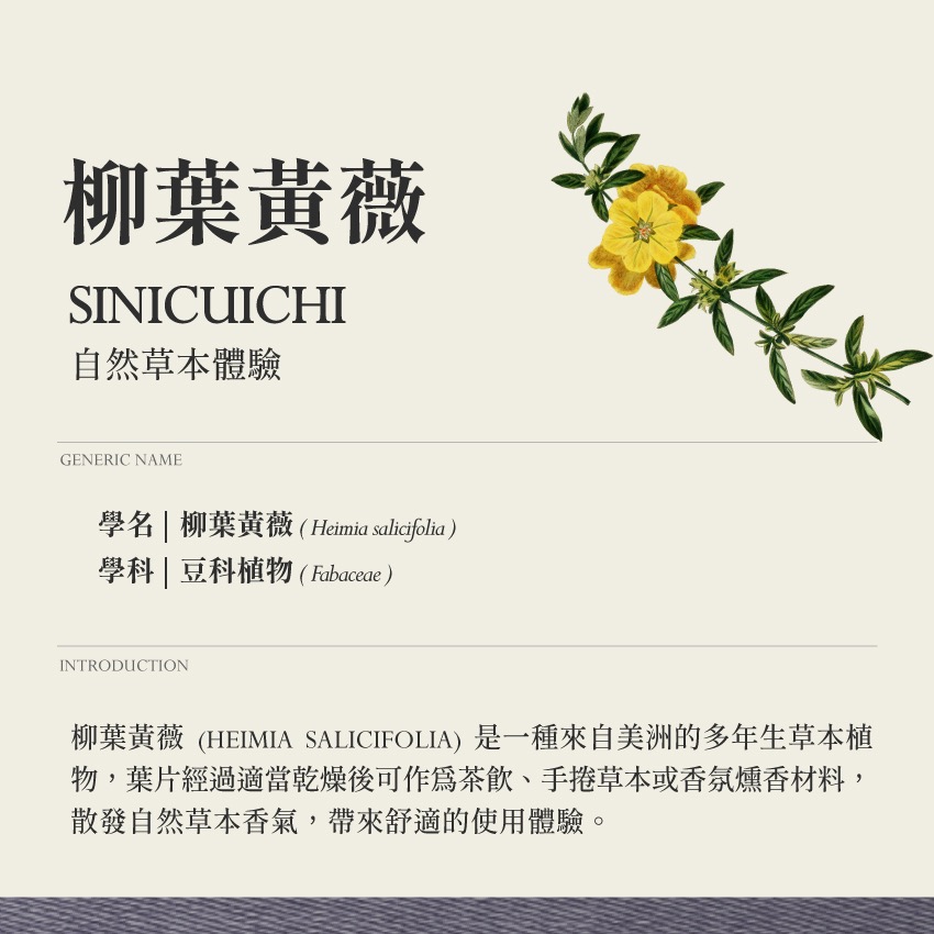 啟心複方 霧 心靈之旅 10g｜乾燥 花 草 茶 原料｜本草・草本實驗室｜飛行草本-細節圖3