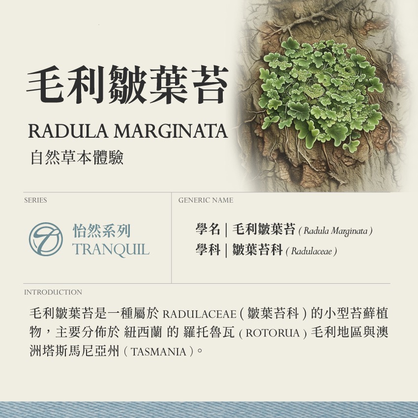 毛利皺葉苔 50倍濃縮 10g｜Wairuakohu Radula Marginata 提取物 粉末｜本草・草本實驗室-細節圖2