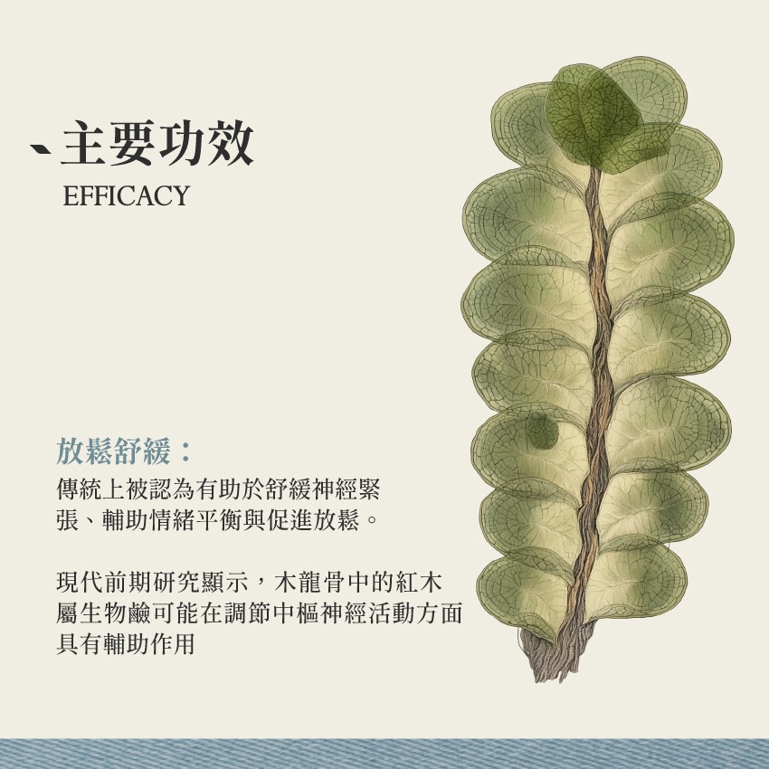 毛利皺葉苔 50倍濃縮 10g｜Wairuakohu Radula Marginata 提取物 粉末｜本草・草本實驗室-細節圖3