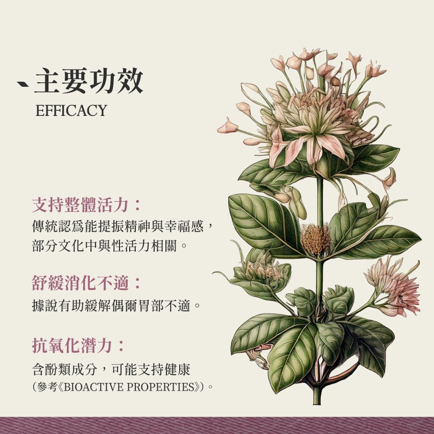 亞馬遜丁香藤 10g｜Clavo Huasca Tynnanthus panurensis 乾燥 花 草 茶 原料 飛-細節圖3