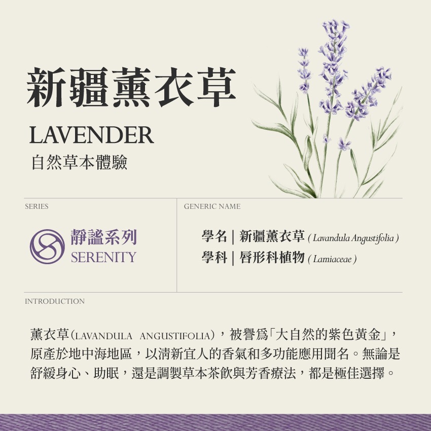 新疆薰衣草 10g｜Lavender Lavandula Angustifolia 乾燥 花 草 茶 原料｜本草-細節圖2